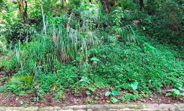 Lot for Sale at Richview Subdivision, Baguio City