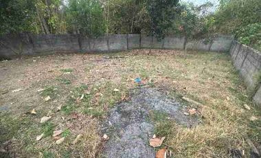 Lot for Sale Paniqui, Tarlac