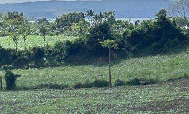 4 hectares Along Highway