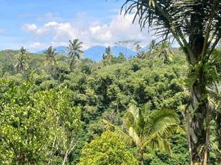 di jual tanah cantik .suasana pedesaan. view  sungai tebing dan gunung