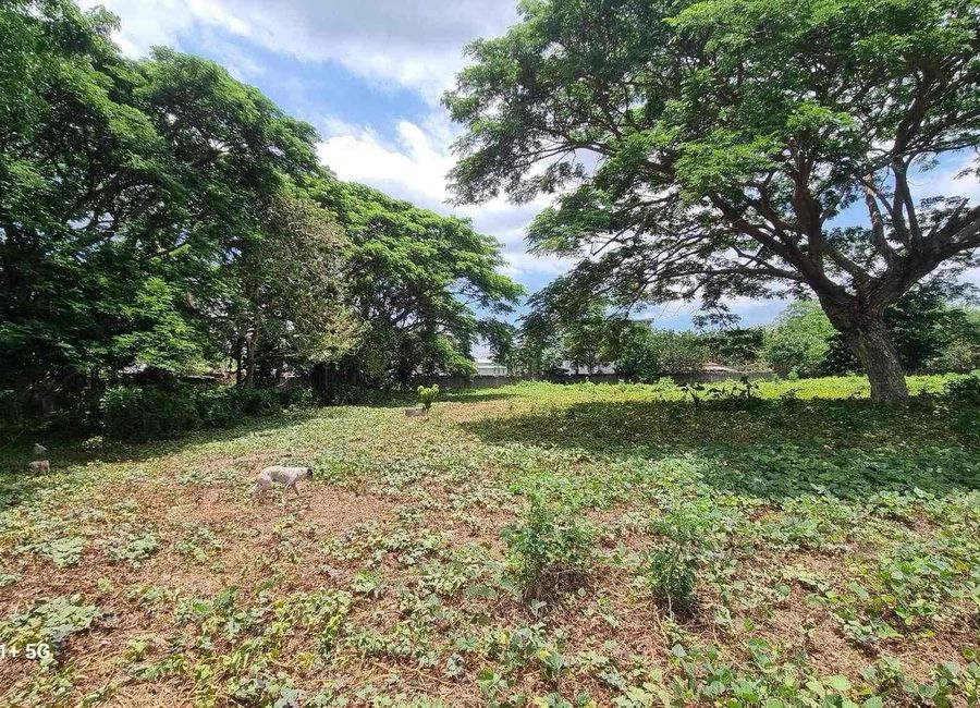 Maharlika Highway, Lalig, Tiaong, 2nd District, Quezon image 2