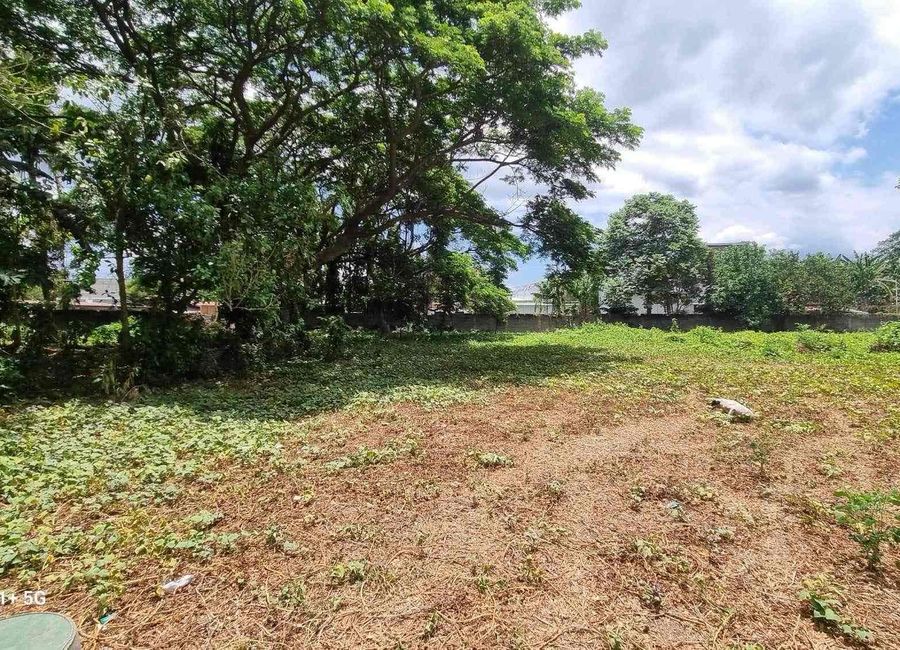 Maharlika Highway, Lalig, Tiaong, 2nd District, Quezon image 3