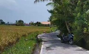 BUC 6 are Tanah Sawah di Singapadu kaler Gianyar Bali