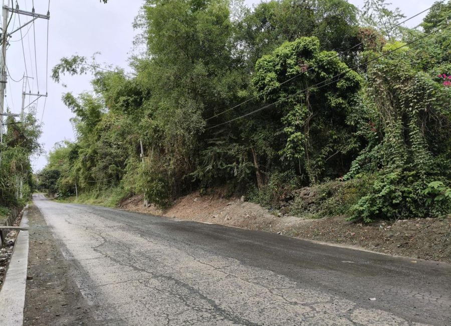 Pantay-Buhangin Road, Pantay, Dalig, Teresa, Rizal