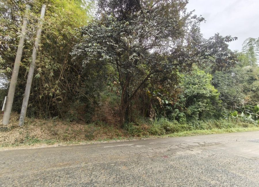 Pantay-Buhangin Road, Pantay, Dalig, Teresa, Rizal image 3