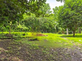FARM LOT FOR SALE in
Brgy. Aya, Talisay, Batangas