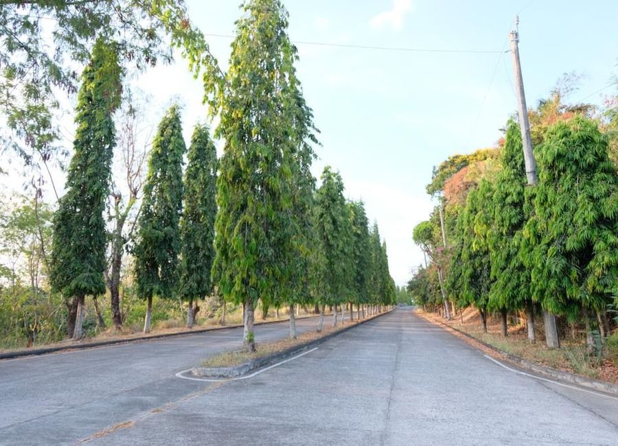 Fairmount Hills, Dela Paz, Antipolo, Rizal image 2