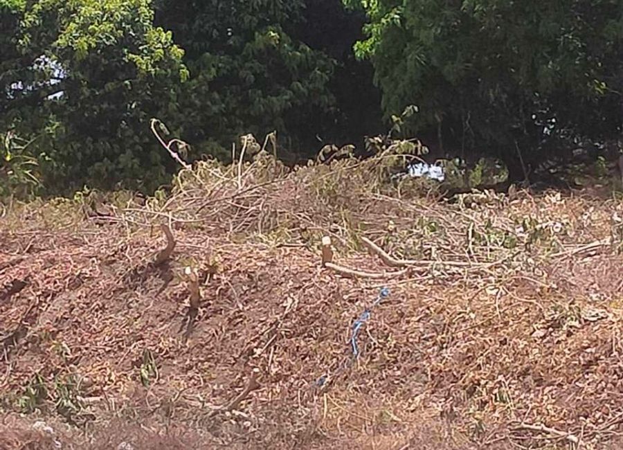 Batangas City National Road, Buklod Unlad I, Dumantay, Sitio Buli, Paharang Kanluran, Batangas, Batangas image 2