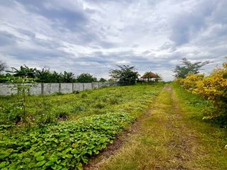 3 Hectares, Commercial lot For Sale in Brgy. Bunggo Calamba City Laguna.