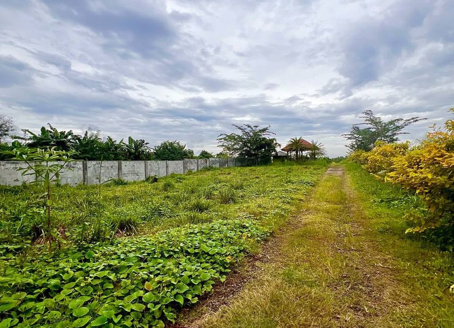 Bunggo, Calamba, Laguna