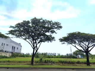 Kavling Sentra Niaga luas 20x50 1000m Harapan Indah Bekasi