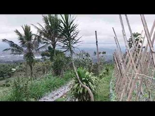 di jual lahan kebun subur tanah milik di Cicurug sukabumi