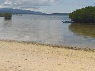 Beach Lot with Structures 600sqm 15m shore Pangangan Island Bohol