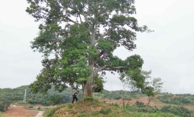 PRIME LOT IN SUN VALLEY ANTIPOLO