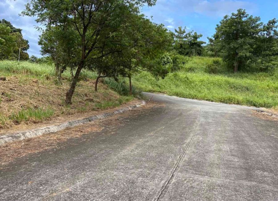 Parkridge Drive, Park Ridge, Santa Cruz, Antipolo, Rizal image 2