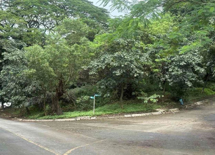 Parkridge Drive, Park Ridge, Santa Cruz, Antipolo, Rizal