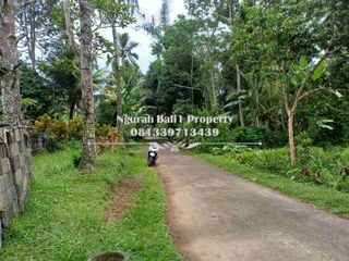 Dijual Tanah Murah Luas 11 Are di Tegallalang Ubud