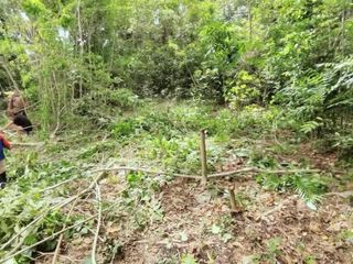794sqm LOT FOR SALE in Dauis-Panglao Island, Bohol