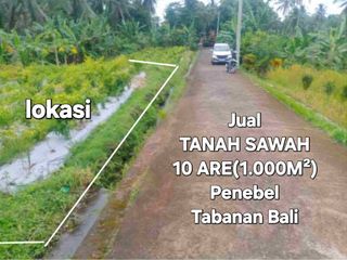 BUC, Dijual tanah sawah 10are di Penebel Tabanan Bali, jln 5 mtr aspal