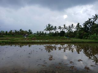 DIJUAL 1 BIDANG TANAH – KABUPATEN BADUNG