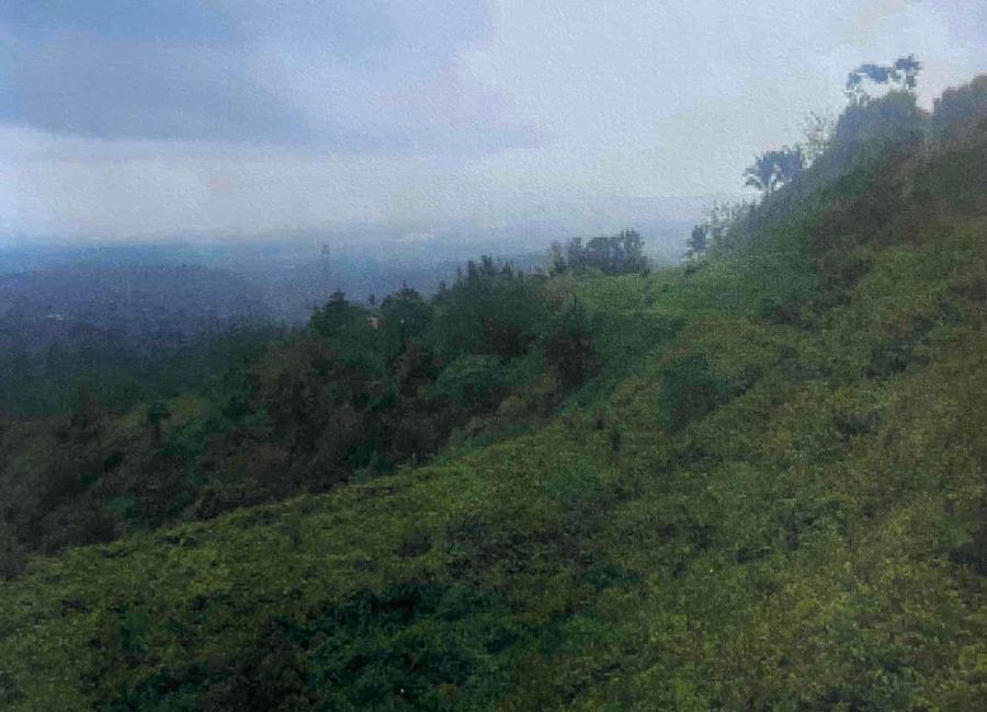 Mabato, Calamba, Laguna image 2