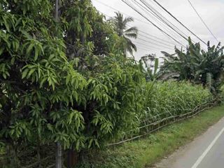 TANAH SHM DEPAN BATALYON JALAN RAYA WANGON BANYUMAS