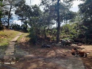 1.3ha Hilltop Lot in a gradual slopping terrain in Virac, Itogon ideal for subdivision development.