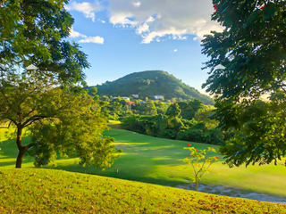 901 sqm. Ayala Greenfields Estate Residential Lot for Sale in Calamba, Laguna City