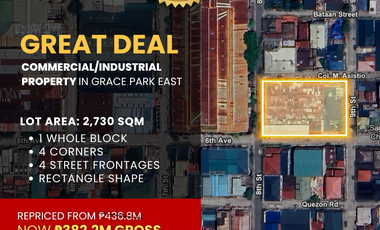 FOR SALE Commercial / Industrial Property in Grace Park East, Caloocan City