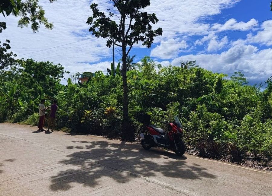 place photo 26