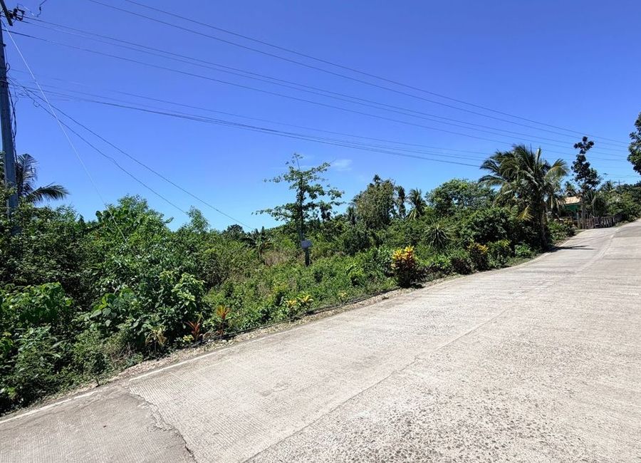 place photo 19