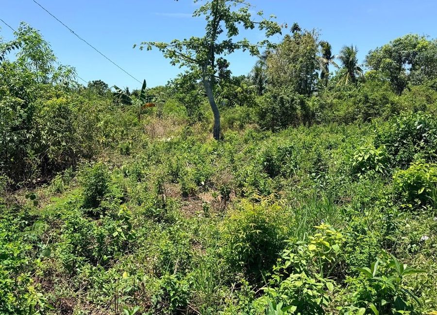 place photo 18