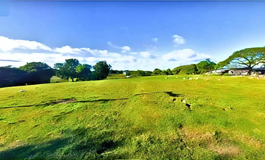 Lot for Sale Ideal for Subdivision Development