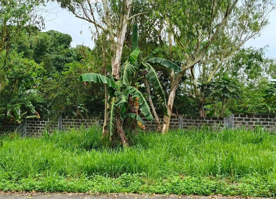 Summer Hills, Dela Paz, Antipolo, Rizal