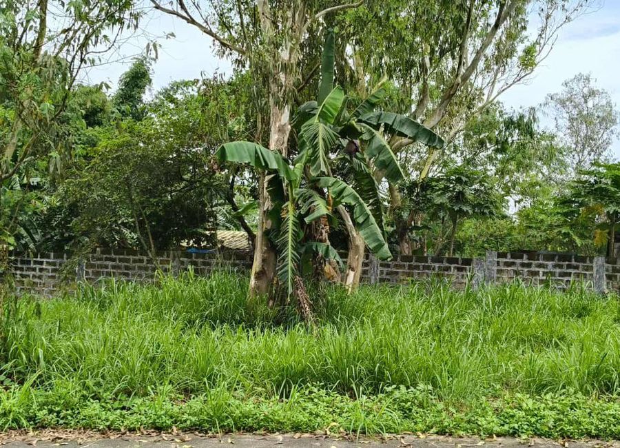 Summer Hills, Dela Paz, Antipolo, Rizal image 2