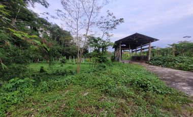 Tanah Strategis dan Murah di Kawasan Srumbung, Magelang dekat dengan Jalan Raya Magelang-Yogya
