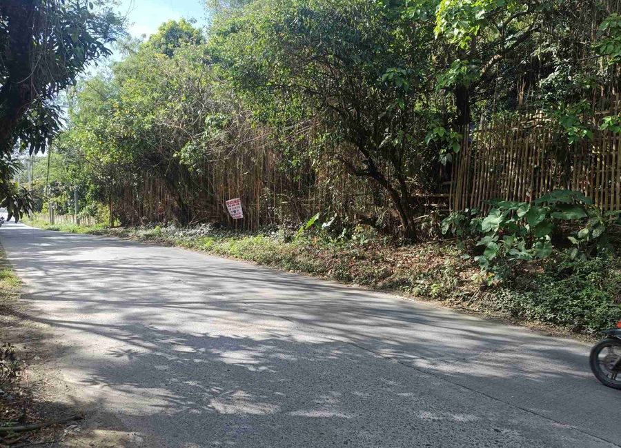 Pinugay Road, Tanza Ⅱ, Antipolo, Rizal image 2