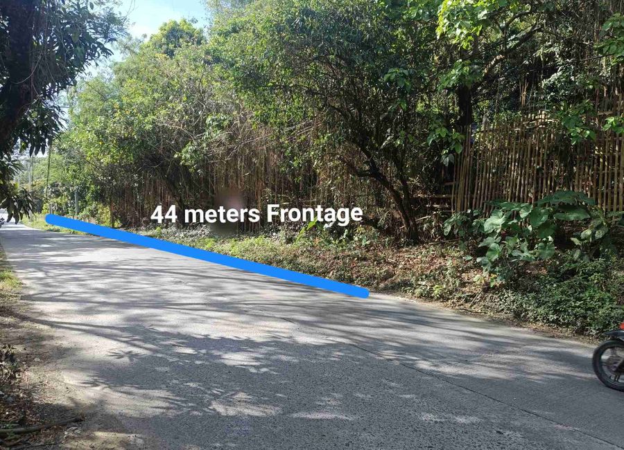 Pinugay Road, Tanza Ⅱ, Antipolo, Rizal