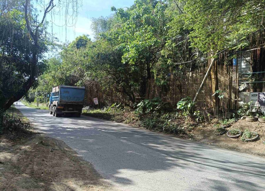 Pinugay Road, Tanza Ⅱ, Antipolo, Rizal image 3