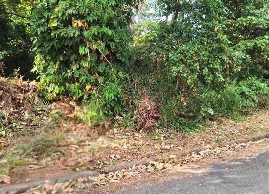 Santana Drive, Victoria Valley, Dela Paz, Antipolo, Rizal