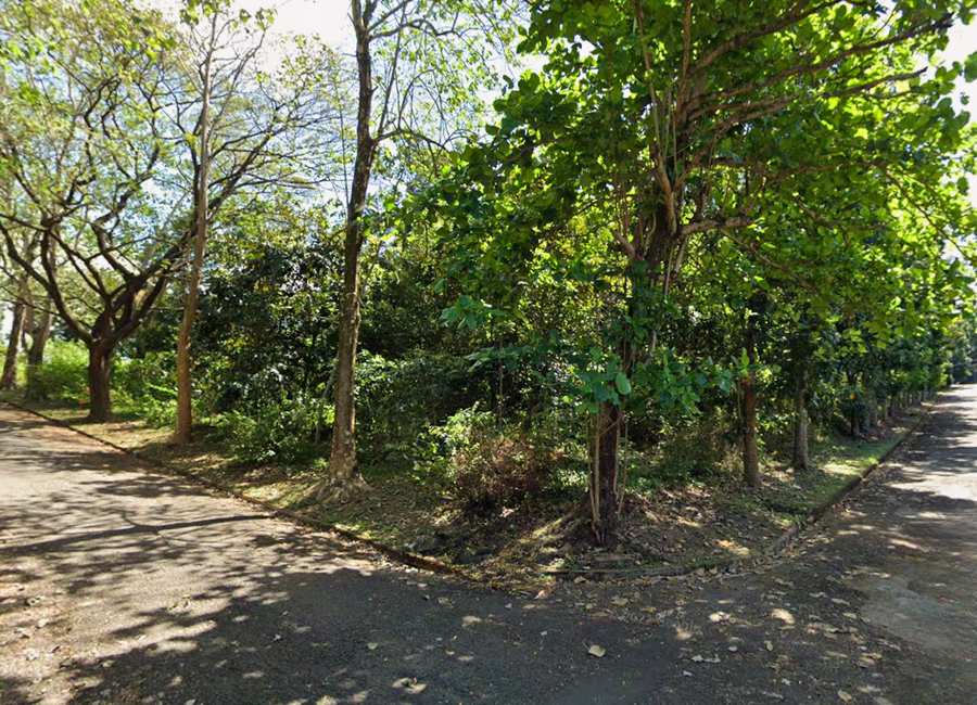 Santana Drive, Victoria Valley, Dela Paz, Antipolo, Rizal image 2