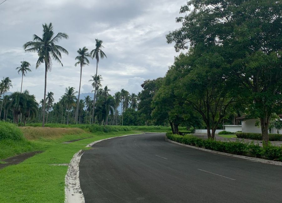 Bulakin, Tiaong, 2nd District, Quezon image 3