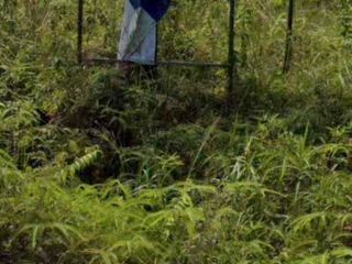 Martapura Kalimantan Selatan Cck u pergudangan