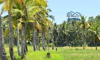 RUSH SALE: 6-Hectare Agricultural Farm in Bobon, Butuan City