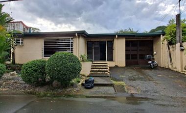 Residential Property Near Airport Paranaque Pasay Makati Taguig Manila Lot Price Only