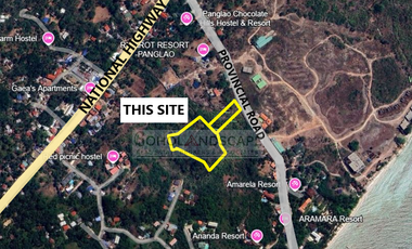 Commercial Lot for Sale in Libaong, Panglao Island, Bohol