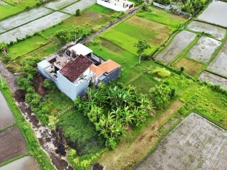 Dijual Tanah Hunian Eksklusif 3 Are di Central Lovina – Area Villa Premium