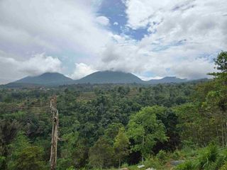 Dijual tanah datar landai view gunung dan lembah di tabanan bali