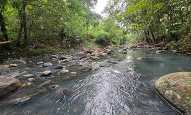 Dijual tanah langsung dengan sungai bebatuan di tabanan bali