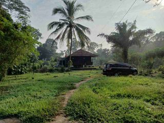Di Jual tanah beserta Rumah kayu 1 lantai 3 kamar tidur dengan luas tanah 5500 meter di serang banten kota